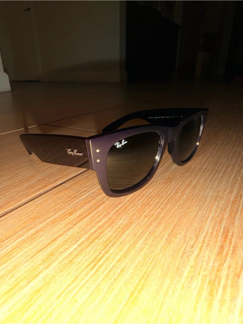 Ray-Ban Men's Brown Frame Black Lens Sunglasses